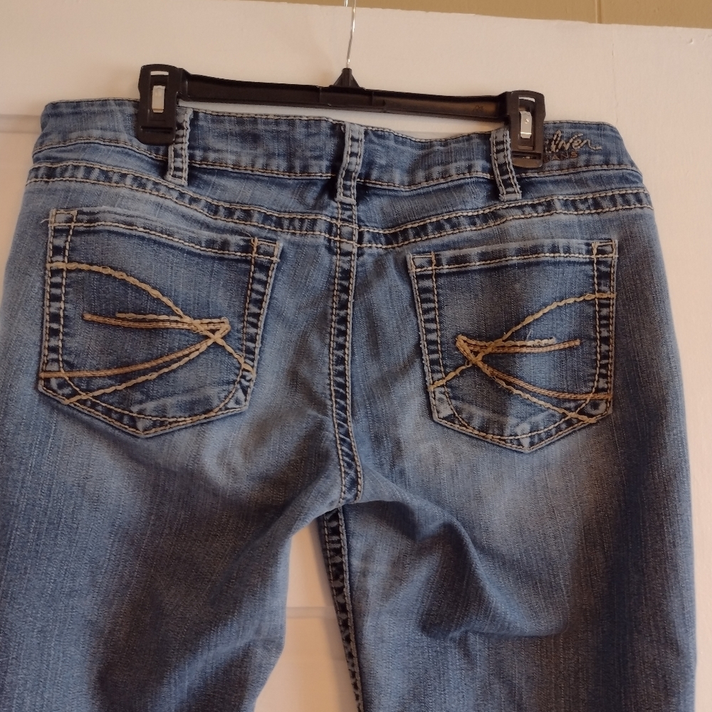 Silver Capris - Picture 4 of 8